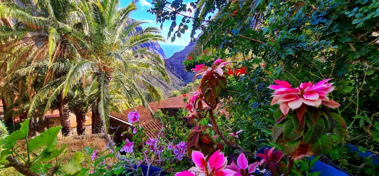Paradise Tenerife Σαν Μιγκέλ ντε Αμπόνα Εξωτερικό φωτογραφία